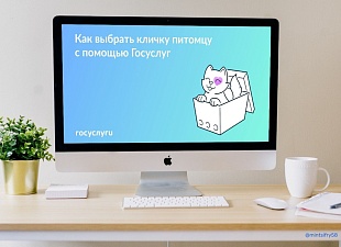 На Госуслугах появился генератор кличек для питомцев